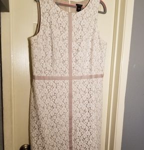 Ann  taylor cream lace dress size 14